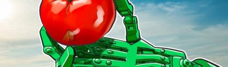 南インド州ケララ州で食糧供給、流通にブロックチェーン技術を使用する