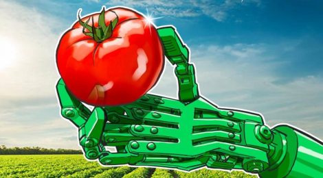 南インド州ケララ州で食糧供給、流通にブロックチェーン技術を使用する